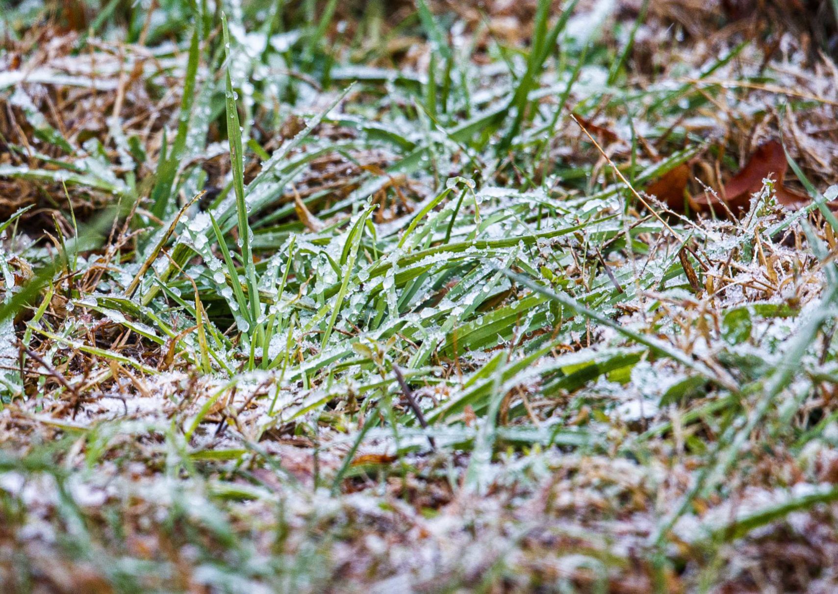 1st Snow